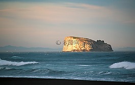 太平洋,波,沖浪