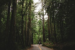 人,男子,旅行