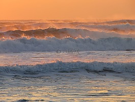 太平洋,波,沖浪