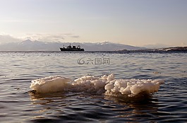 太平洋,波,沖浪