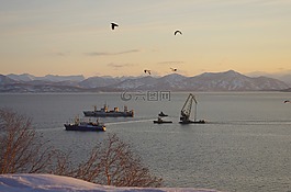 太平洋,湾,波