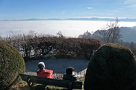 霧,天空,性質(zhì)