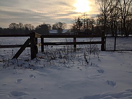 冬天,雪,太陽(yáng)