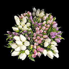 鮮花,花束,郁金香