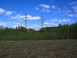 森林,線,支持