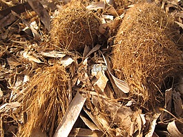 海灘,海草,關(guān)閉