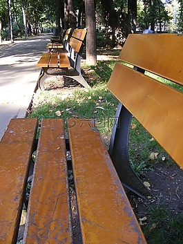 長凳,長椅,公園