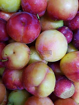 梅花,为分析,把所有