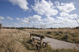 長凳,景觀,天空