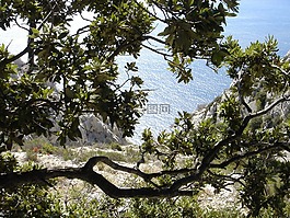 拱,海,植被