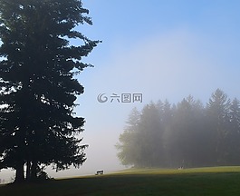 公園,霧,上午