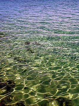 海,水,假期
