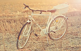 自行車,熏衣草,購(gòu)物車