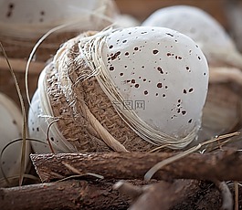 雞蛋,復(fù)活節(jié)彩蛋,德卡