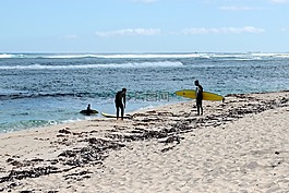 波,沖浪,沖浪板