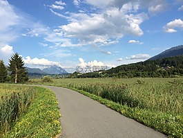 景觀,云,春天
