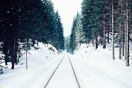 雪,冬天,白