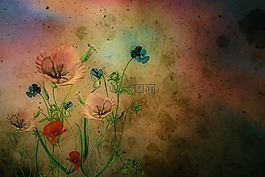 纹理,背景,鲜花