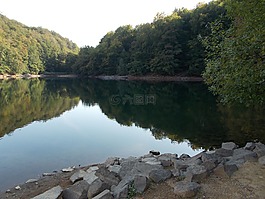 水,樹,斯洛伐克
