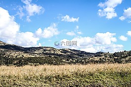 景觀,綠色,性質(zhì)