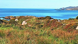 愛爾蘭,海岸,海岸線