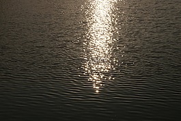 日出,海,上午