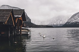 自然,景觀,房子