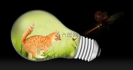 小貓,幻想,mitze