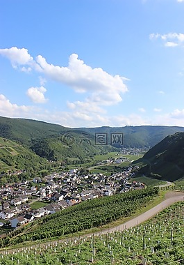 dernau,ahr 谷,葡萄园