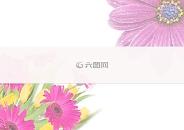 鮮花,蠟筆,空白