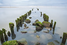 水域,性質(zhì),海