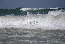 水,海灘,假期