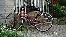 自行車,目睹,老