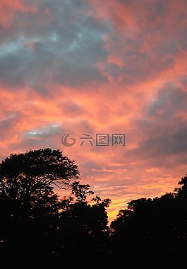 日落,晚上,側(cè)影