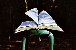 書,圣經(jīng),老