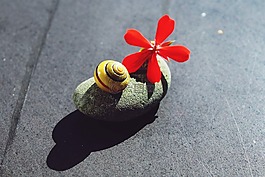 石,關(guān)閉,性質(zhì)
