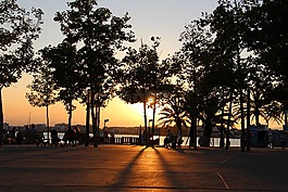 太陽,海,海灘