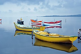 人體內(nèi)的水,小船,mar