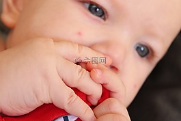 嬰兒,手指,手