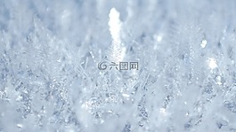 冰,弗羅斯特,冬季