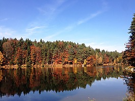 秋季,湖,鏡像