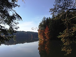 湖,森林,森林海岸