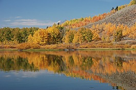 景觀,景區(qū),湖