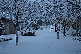 雪,村,冬天