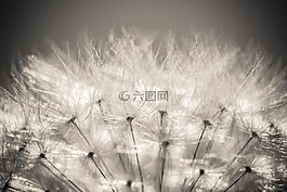 性質(zhì),春天,廠