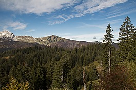 山,森林,徒步旅行