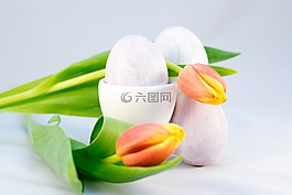 復(fù)活節(jié),花卉,性質(zhì)