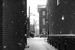 雪,冬天,白