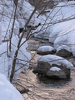 冬天,雪,徑