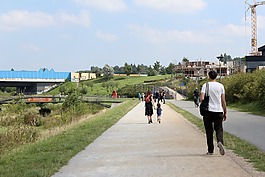 家庭,步行,去